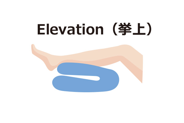 Elevation（拳上）